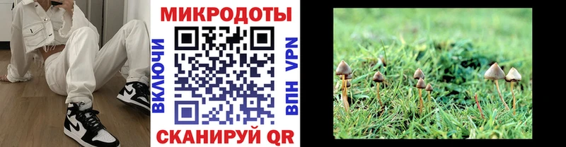 Псилоцибиновые грибы GOLDEN TEACHER  Верхотурье 